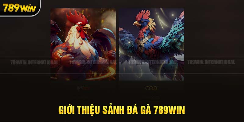 Không gian chọi gà đỉnh cao tại nhà cái 789Win