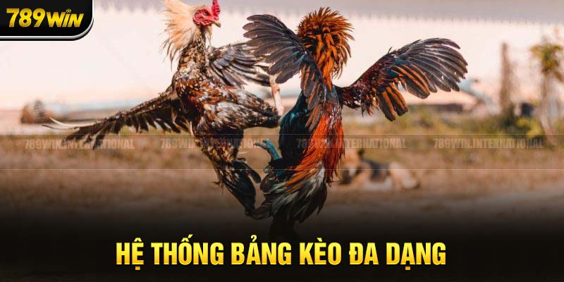 Hệ thống bảng kèo đầy đủ các tỷ lệ cược cho thành viên