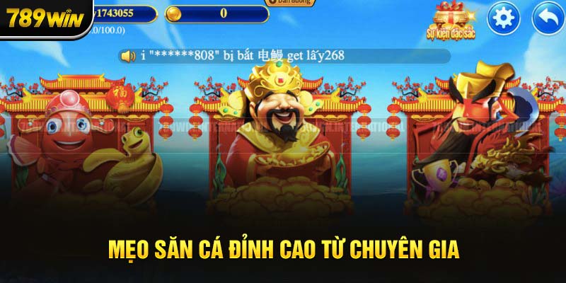 Lựa chọn bàn cược phù hợp là yếu tố quan trọng để thắng khi chơi game 