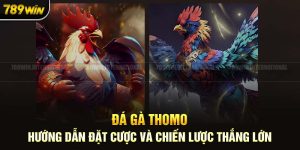 Trải Nghiệm Đá Gà Thomo: Đỉnh Cao Của Thú Vui Giải Trí