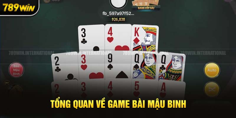 Đôi nét tổng quan về game binh xập xám